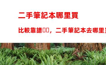 戴爾17年上市的筆記本，戴爾5567筆記本剛上市價格